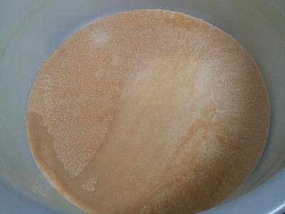 靜置粉水約4到5個小時，讓粉沉澱；之後再把上面的水倒掉，澱粉就沉澱好了