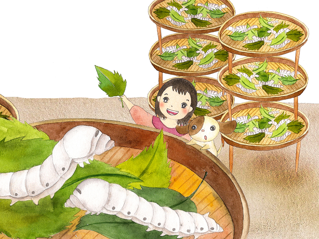 Mita學習蠶桑知識