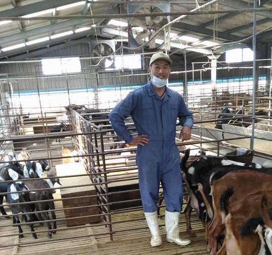 陳瑞成爺爺和陳奇峰叔叔依靠自己的努力，成功轉型為第一家取得登記證書的種肉羊畜牧場。