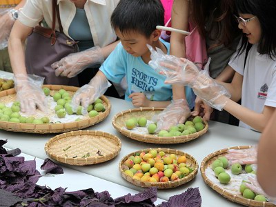紫蘇梅DIY活動