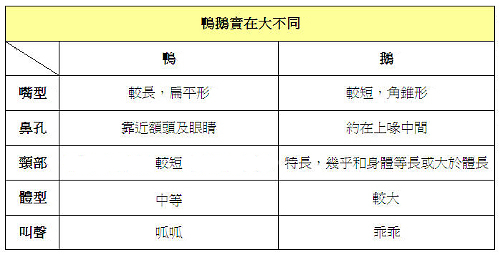 鴨鵝區分表