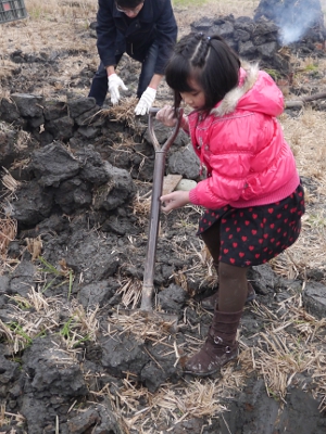 Mita的好朋友小草也在幫忙挖洞