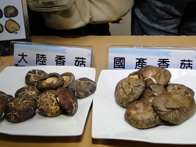 左邊是大陸香菇，右邊是國產香菇