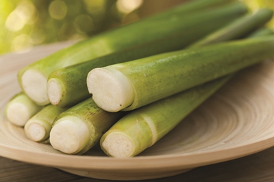 茭白筍像筍子一樣,有綠色的外殼,需要一層層剝開 茭白筍像筍子一樣,有綠色的外殼,需要一層層剝開
