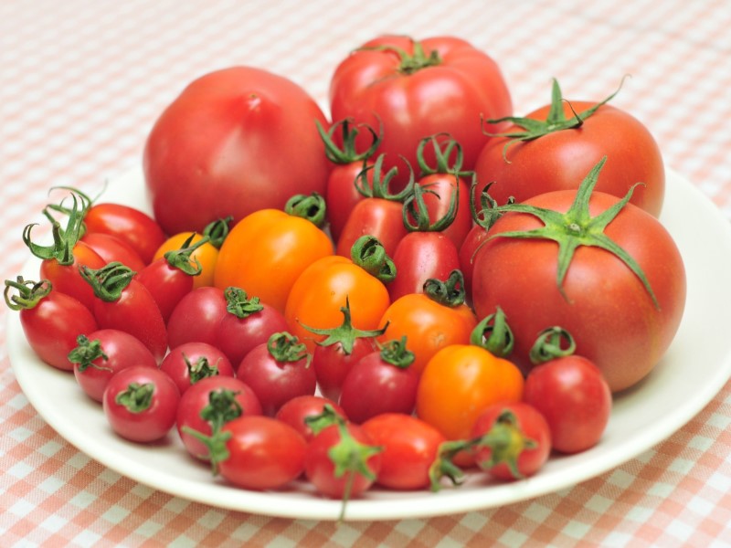 大小番茄在營養學分類上不一樣喔。