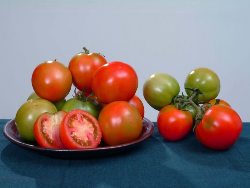 大番茄顏色有綠、有紅。