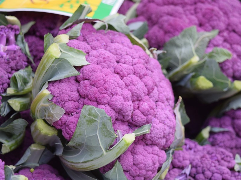 花椰菜也有紫色的喔！(photo / @georilla_Pixabay)