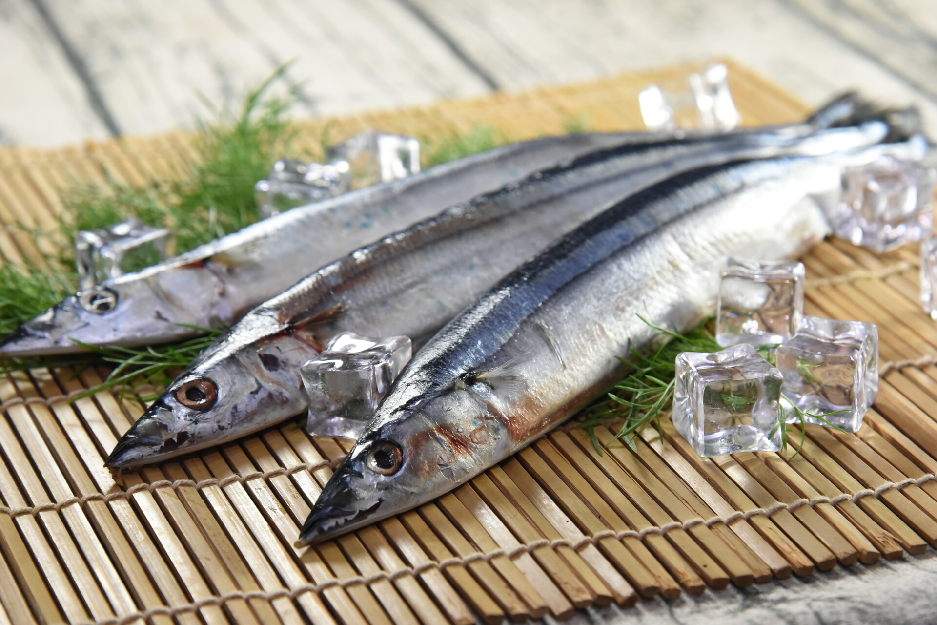 秋刀魚屬於油性魚。