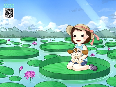 夏日蓮花盛開，Mita體驗坐大王蓮