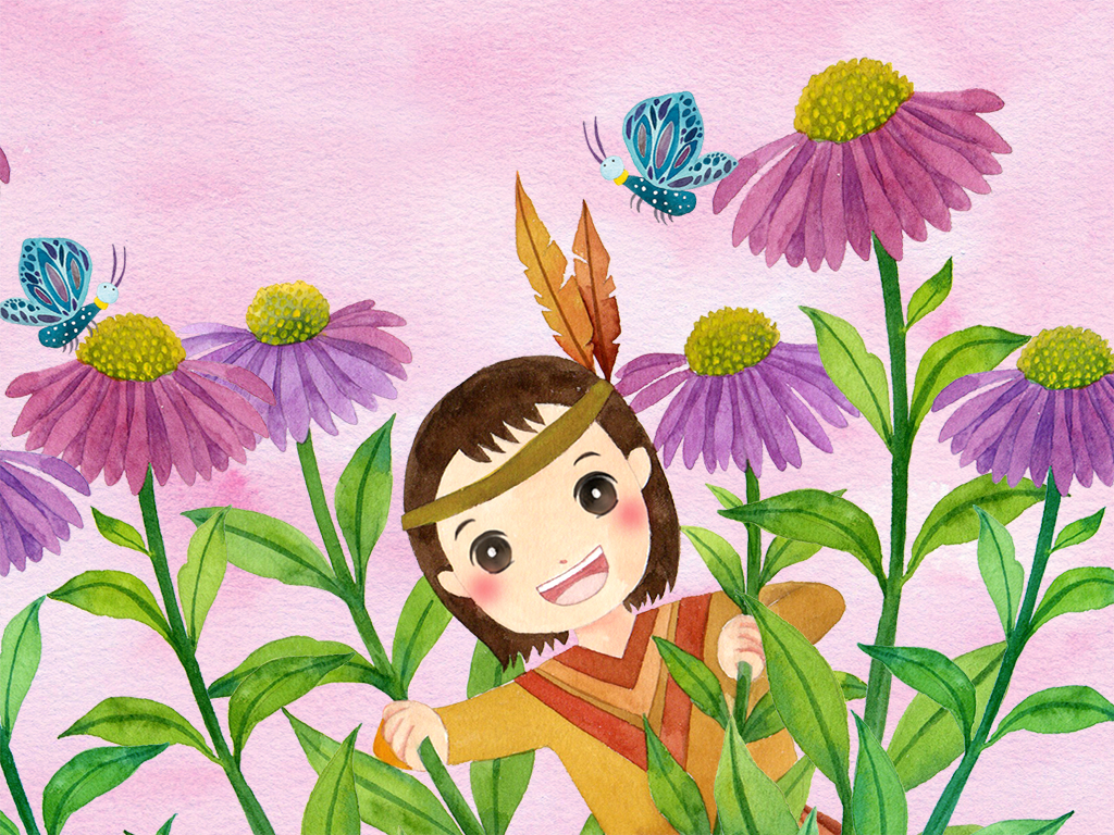 外形像松果的紫錐花，是印第安人的傳統草藥。