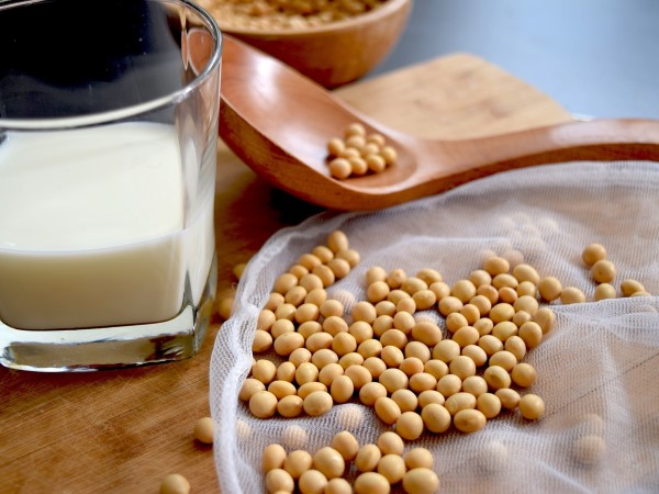 豆奶其實就是豆漿(photo / @bigfatcat pixabay) 豆奶其實就是豆漿(photo / @bigfatcat pixabay)