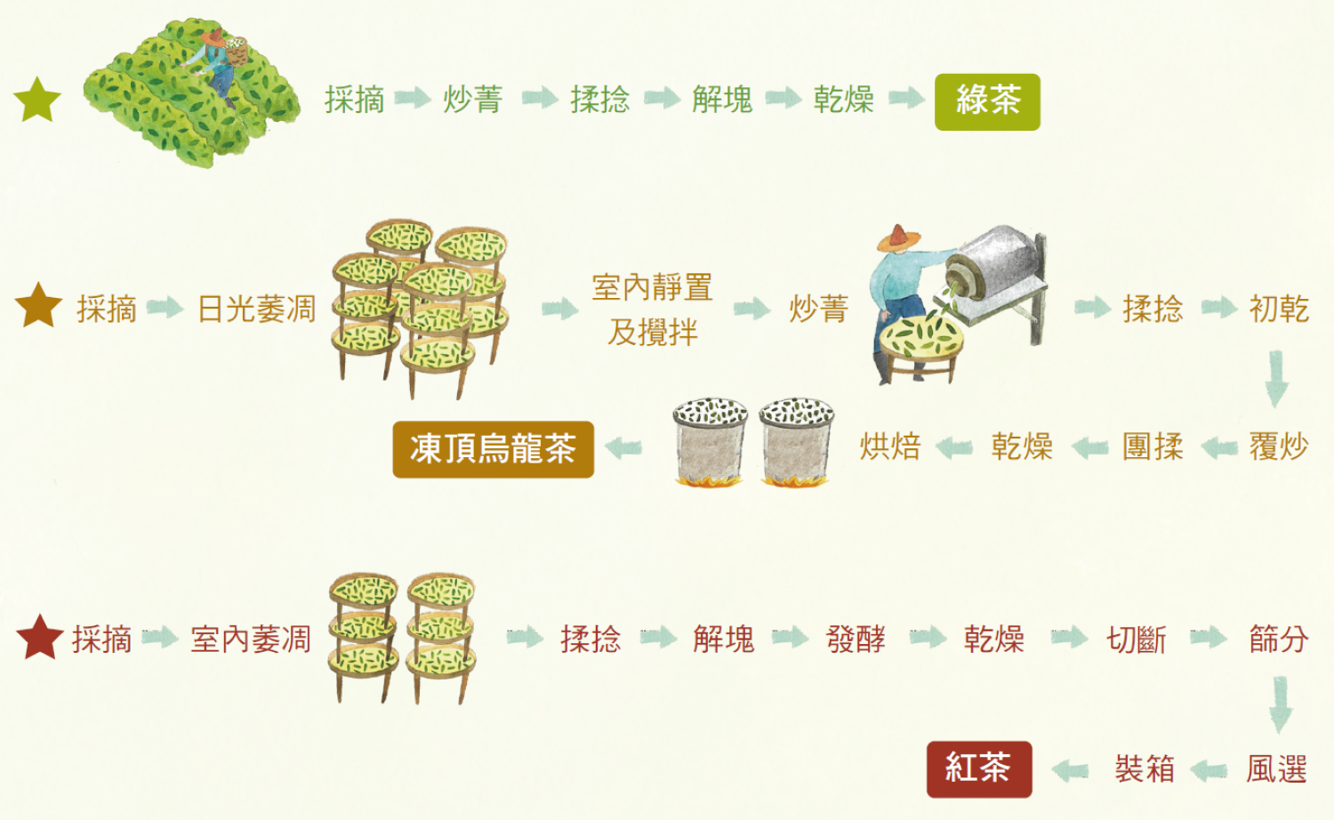 茶葉製造關鍵程序介紹