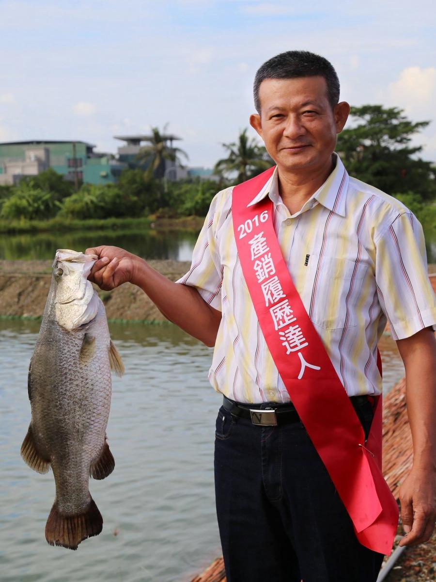 顏伯伯養殖鱸魚，曾獲得2016年產銷履歷達人
