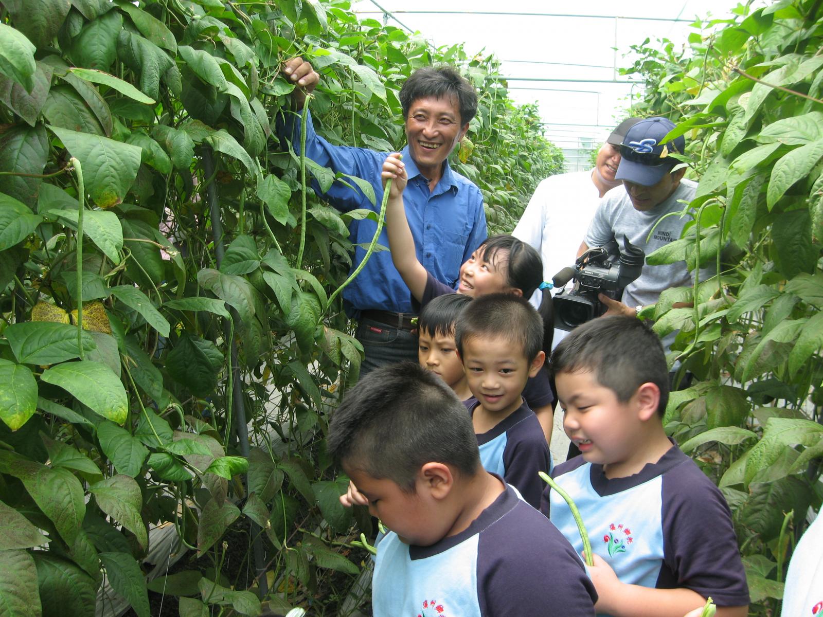 陳蒼鄢叔叔向小朋友們介紹小黃瓜