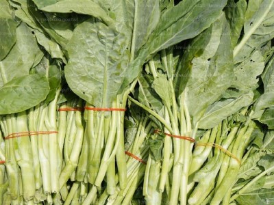 芥藍菜的營養素有豐富的鈣。(photo / 農業知識入口網)
