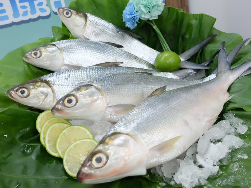天然魚油Omega-3  虱目魚粥登臺南式早餐代表
