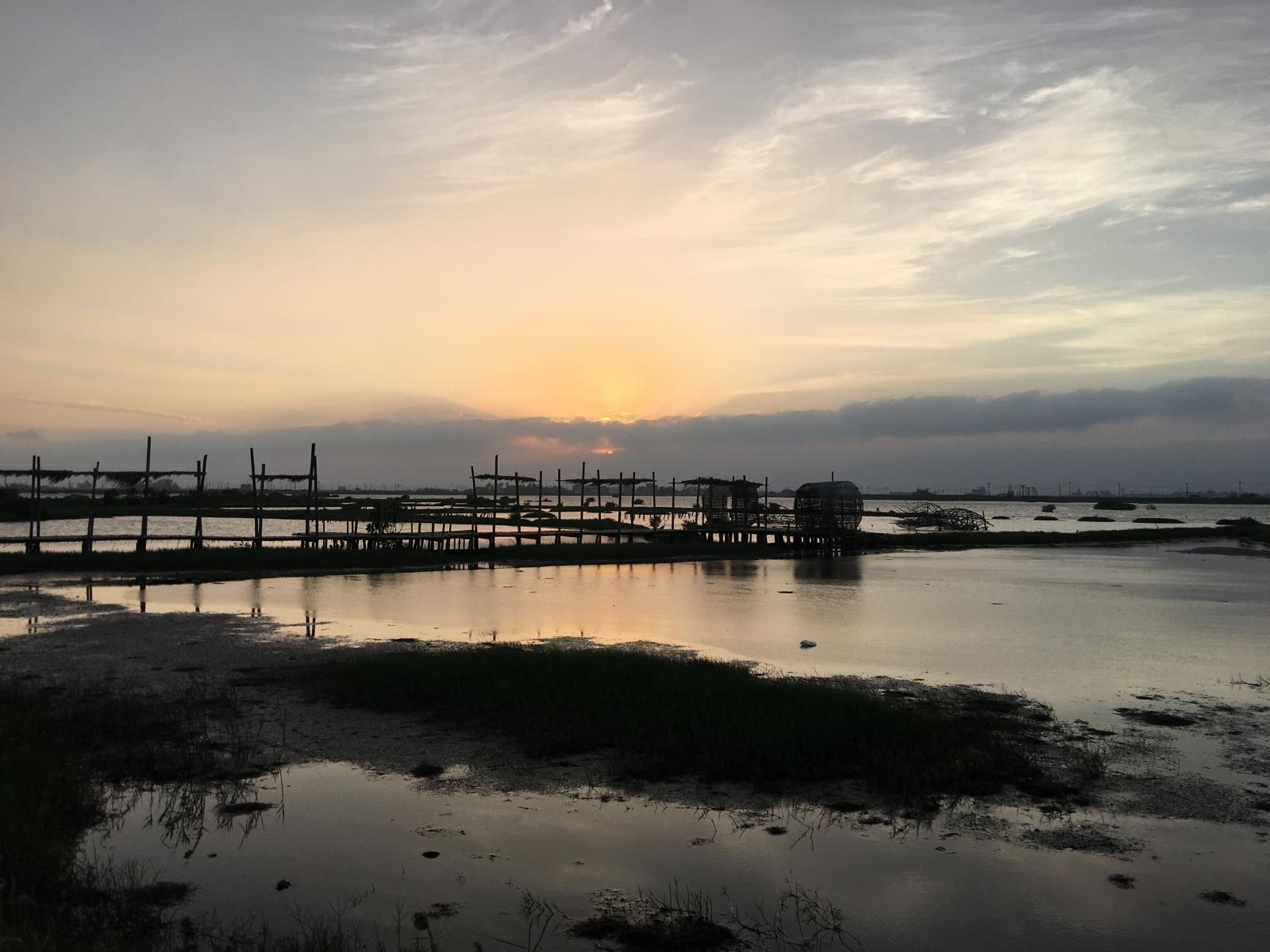 夕陽餘暉下的成龍濕地