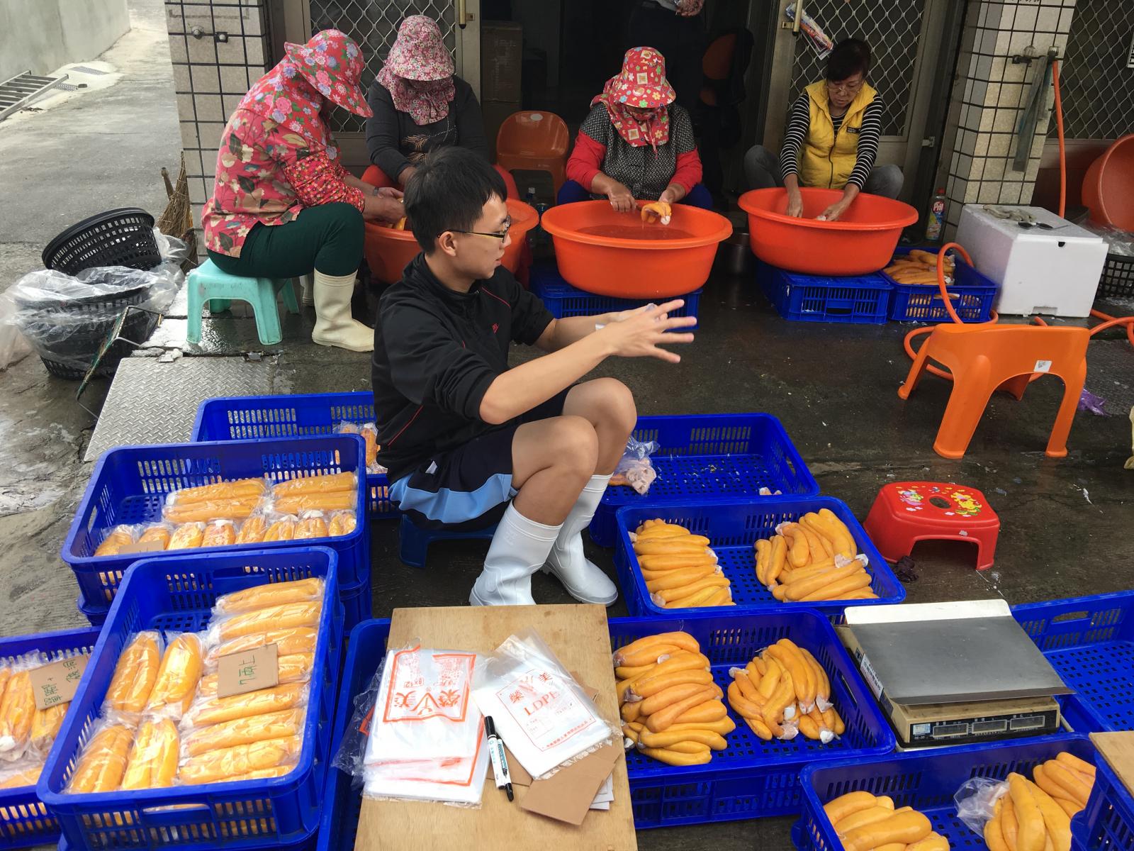 從魚體取卵後，工作人員清洗乾淨才能分級