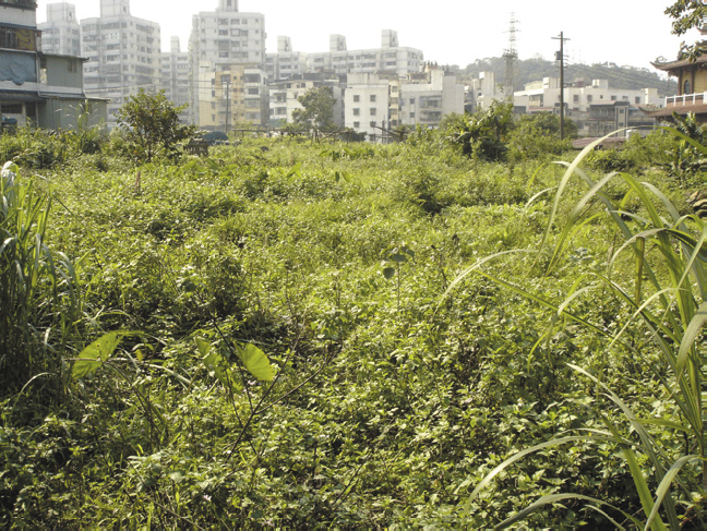 低海拔地區植群-草生地