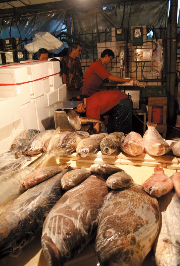 遠洋魚貨市場零售情況