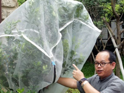 臺東農業改良場陳奕君先生設計的「防猴網」
