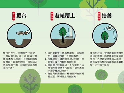 一步一步跟著做，就能輕鬆種好小樹苗唷！