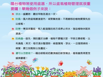 快來學學陽台的盆栽植物管理吧！