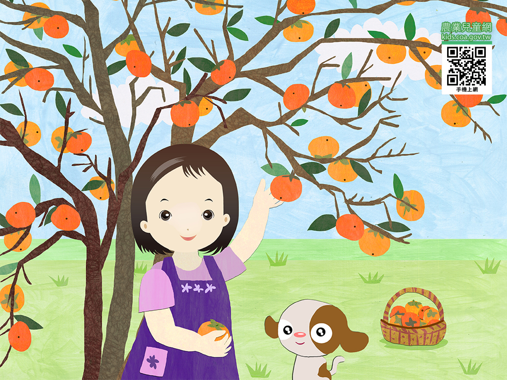 秋天到～跟著Mita和碳狗一起去採柿子吧！