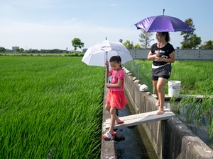 母女倆一同巡田水