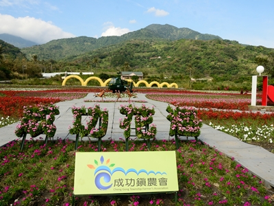 成功花海集合了一串紅、鳳仙花、牽牛花等花卉，繽紛花毯拼湊出可愛的大地圖騰 