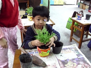 小朋友仔細照顧自己種植的香草