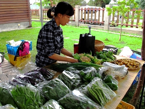 農場主人林佩汝的女兒細心整理蔬菜