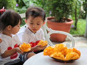 董大哥家的2位小朋友也很愛吃爸爸種的芒果唷！