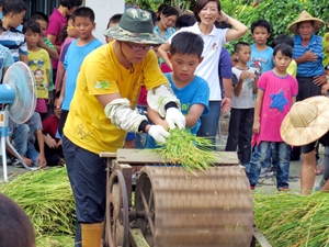 春天種稻，全校學生一起參與這活動