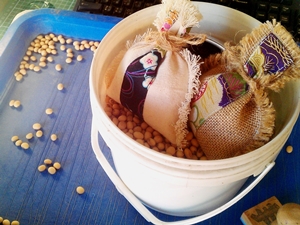 本土的黃豆，包裝袋有阿美族的特色